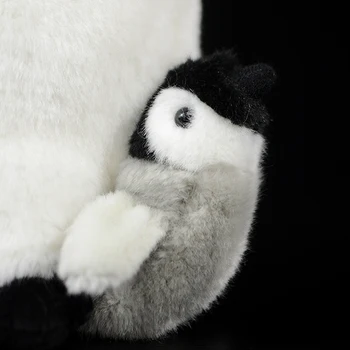 Emperor Penguin Pehmed Nukud, Loomade Armas Aptenodytes forsteri Antarktika Tõetruu Simulatsioon Kawaii Reaalne Elu Pahupoolega Lapsed Kingitus